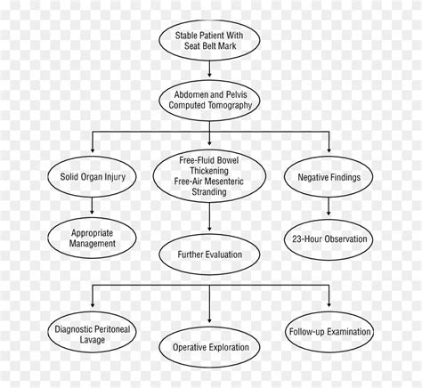 Algorithm For Patients With Abdominal Seat Belt Marks - Seat Belt Sign ...