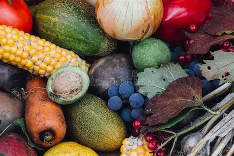 Autumn Harvest Fruits And Vegetables Stock Photo Image Of Nuts