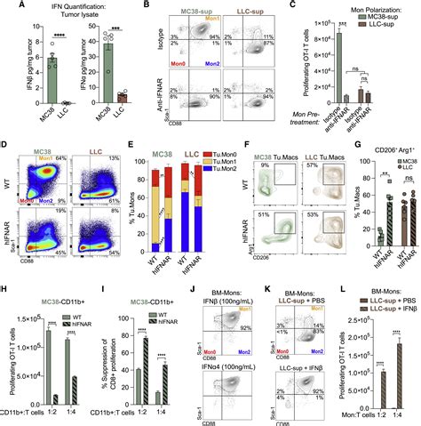 Cancer Cell Derived Type I Interferons Instruct Tumor Monocyte