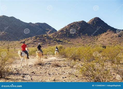 Horseback Riding Through Arizona Desert Editorial Stock Image Image