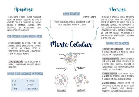 Mapas Mentais Sobre LESAO CELULAR Study Maps