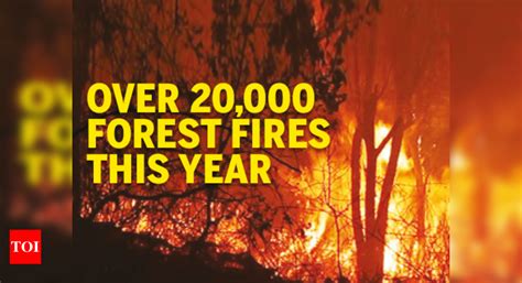 Over Forest Fires This Year India News Times Of India