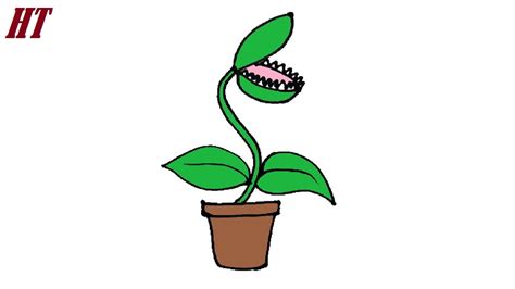 How To Draw A Venus Flytrap YouTube