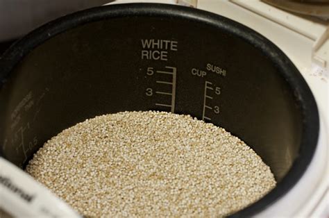 4 Tips on Choosing a Rice Cooker Inner Pot Replacement - We Know Rice