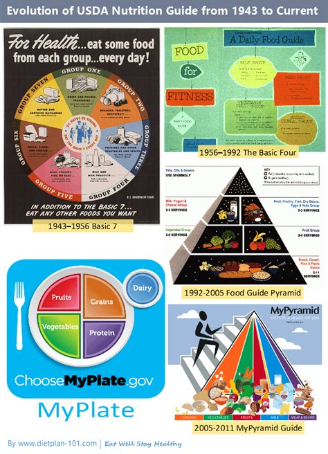 The Shortcomings Of Usda Myplate Diet Plan 101