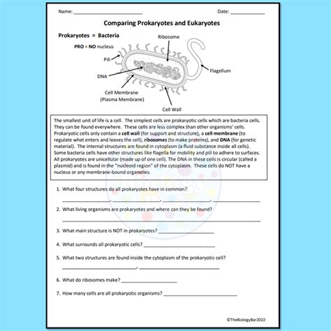 Cells Prokaryotic Vs Eukaryotic Worksheet Made By Teachers