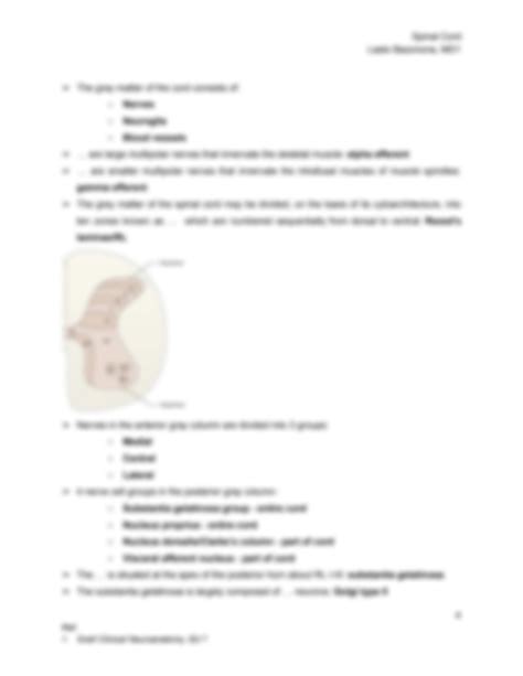 Solution Spinal Cord Anatomy Physiology And Clinicals Studypool