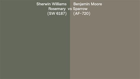 Sherwin Williams Rosemary Sw 6187 Vs Benjamin Moore Sparrow Af 720