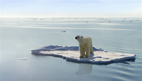 Onu Pede Transforma Es R Pidas Para Limitar Aquecimento Global A C