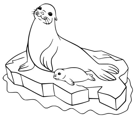 Sea Lion With Ball Coloring Page Free Printable Coloring Pages For Kids