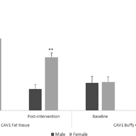 Sex Differences In Caveolin 1 Cav1 Gene Expression In Fat Tissue And