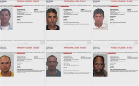 Guadalajara Heads Semefos List Of Unclaimed Bodies Puerto Vallarta