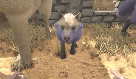 Ark Direwolf How To Tame Feed And Breed