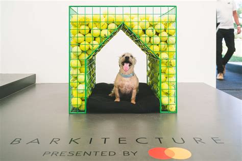 Jet-setting dogs: Goodwood announces theme for Barkitecture kennel