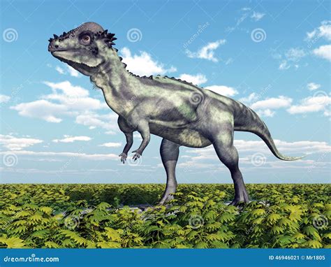 Dinosaur Pachycephalosaurus Stock Illustration Illustration Of Plants