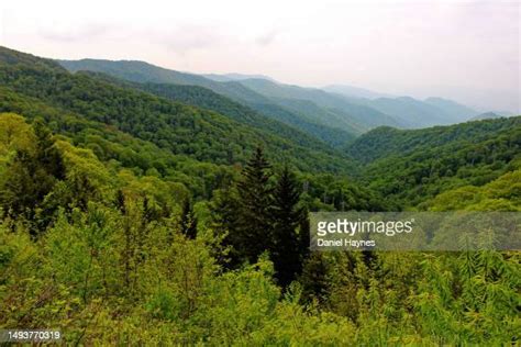 319 Haywood County North Carolina Stock Photos, High-Res Pictures, and Images - Getty Images