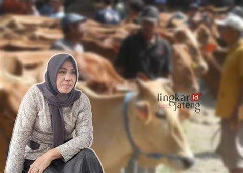 Dprd Pati Muntamah Minta Dispertan Perketat Pengecekan Kesehatan Hewan