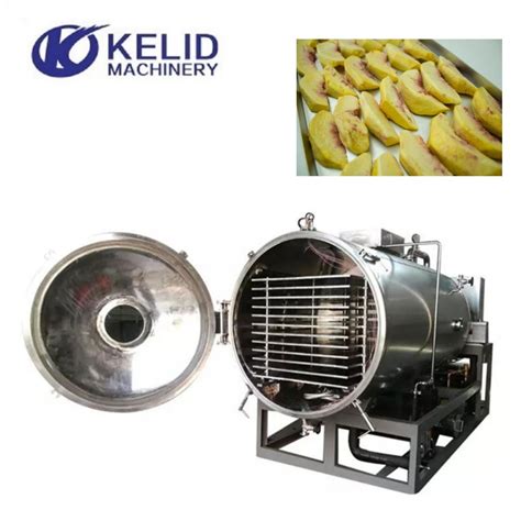 Full Automatic Plc Vacuum Freeze Drying Machine Freeze Vacuum Dryer