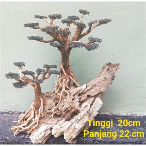 Jual Bonsai Aquascape Kayu Senggani X Kayi Drif Wood Shopee Indonesia