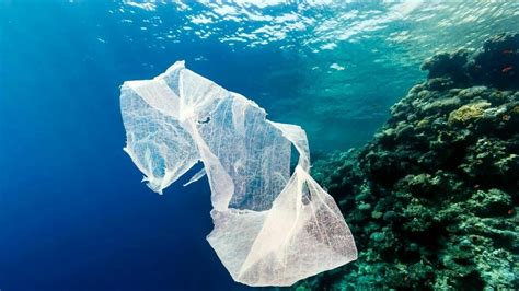 Las Bolsas Plásticas Envenenan El Medio Ambiente Y Tu Puedes Ser Parte