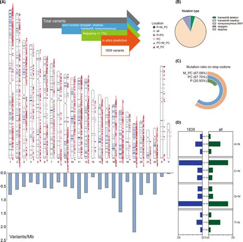 Workflow Of Filtering Variants And Variant Analysis A Filtered