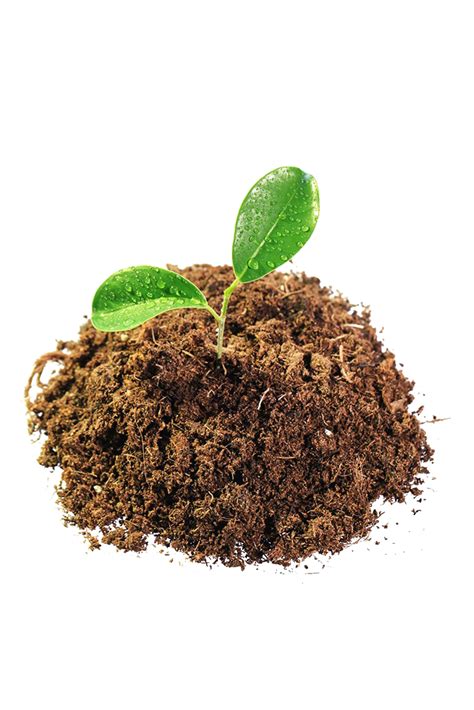 Soil Png