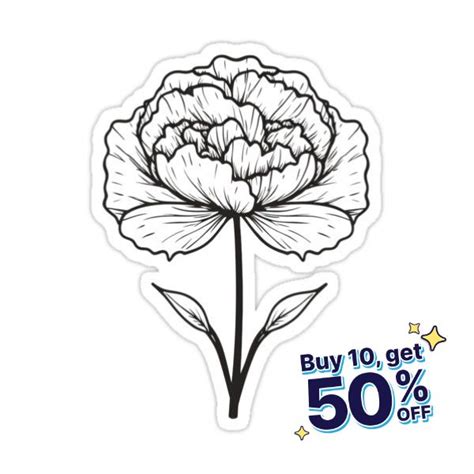 Black White Carnation Line Art Sticker For Sale By Wall Art Design In