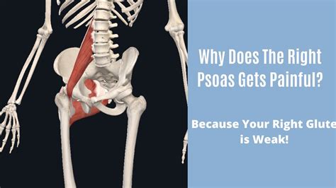 Why Does The Right Psoas Hurt Youtube