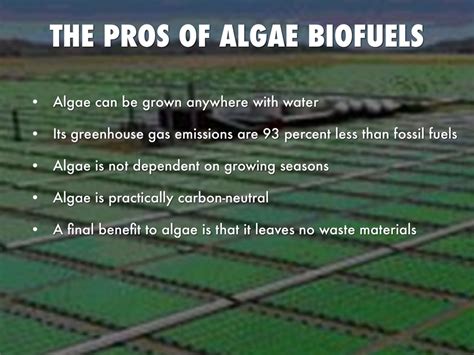 Biofuels Cons Engineering S Advice