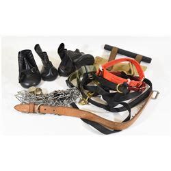 Dog Training Equipment - Landsborough Auctions