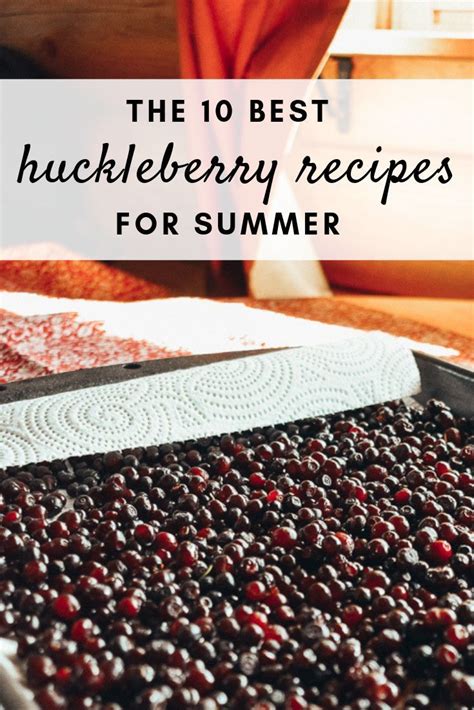 Huckleberry Muffins Recipe Artofit