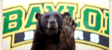 Bear Program | Baylor University