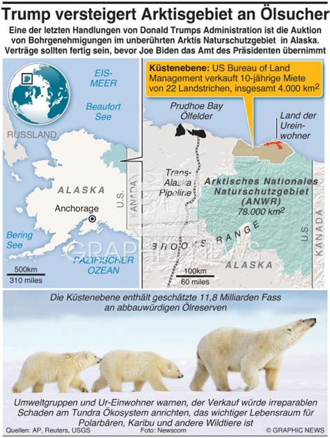 Umwelt Trump Versteigert Arktis An Ölsucher Infographic