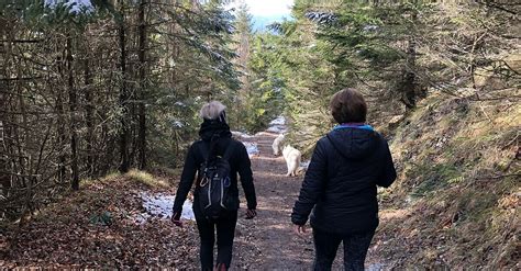 Hohenstein Bergfex Wanderung Tour Nieder Sterreich