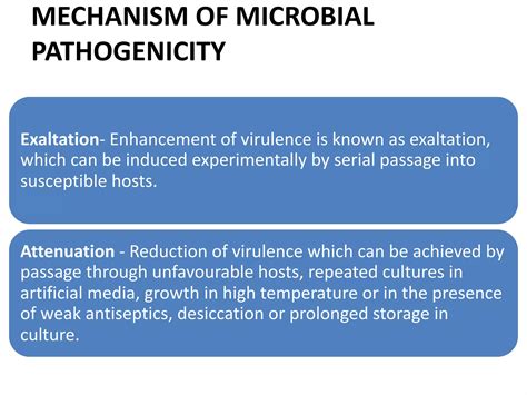 Microbial Pathogenicity PPT