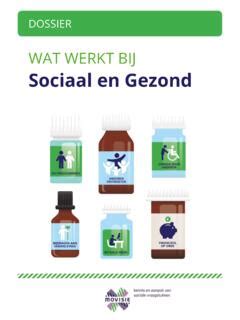 Wat Werkt Bij Sociaal En Gezond Movisie Hoe Werkt Pdf Pro