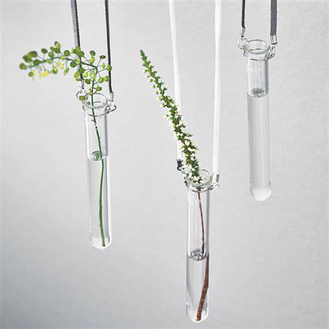 Personalised Hanging Glass Test Tube Vase By Newton And The Apple