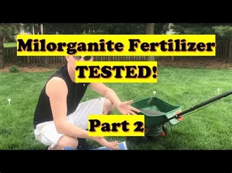 Milorganite Before And After TEST Best Grass Fertilizer LAWN CARE