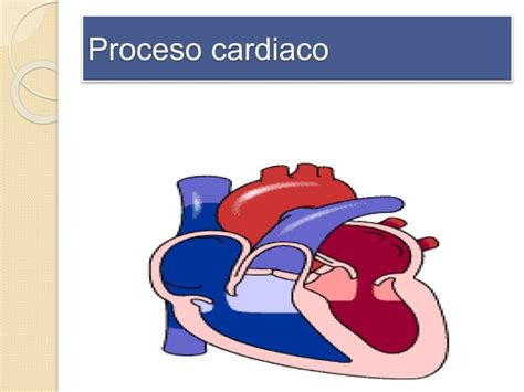 Aparato Cardiocirculatorio Ppt