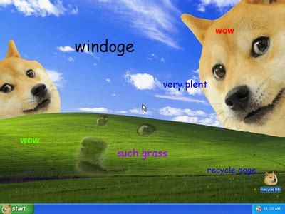 Doge Microsoft | Windows XP Bliss Wallpaper | Know Your Meme