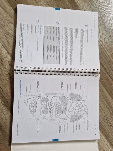 Anatomie Lernen Durch Malen Elsevier Kaufen Auf Ricardo