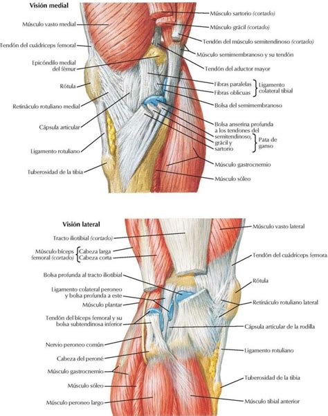 Rodilla Enfermería