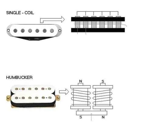 Best Single Coil Pickups Beginner Guitar Hq