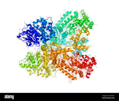 Anthrax Lethal Factor Molecular Model Lethal Factor Lf Is One Of