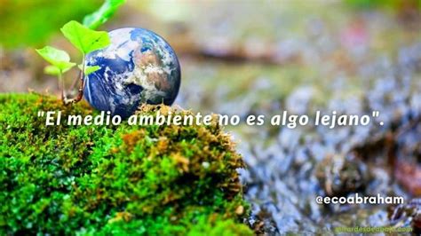 Las 5 frases más inspiradoras sobre medio ambiente