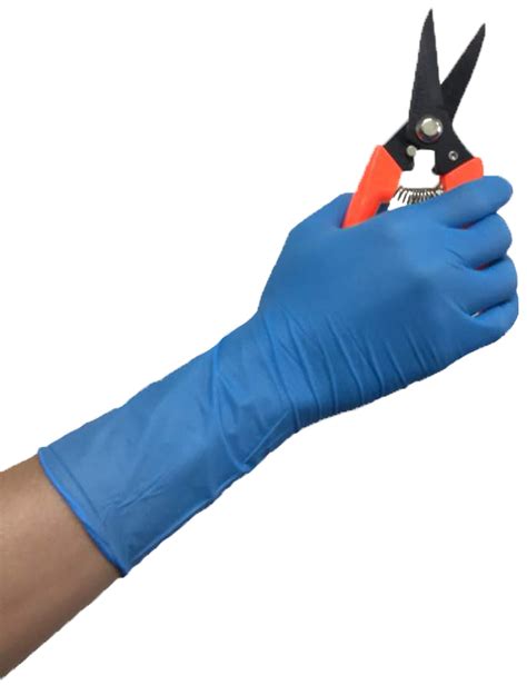 Lc Blue Nitrile Powder Free Examination Gloves Bergamot