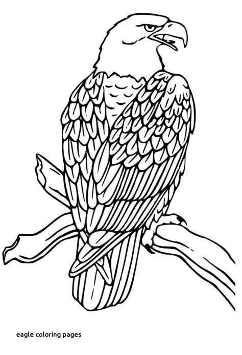 Falcon Coloring Pages At Getdrawings Free Download