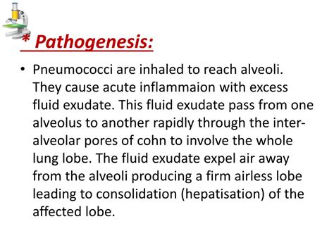 Ppt Pneumonia By Dr Abdelaty Shawky Assistant Professor Of Pathology Powerpoint Presentation