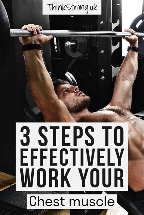 Chest and tricep workout for big gains and fat burn – Artofit