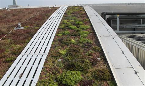 Raf Green Roof Maintenance Spa Landscaping